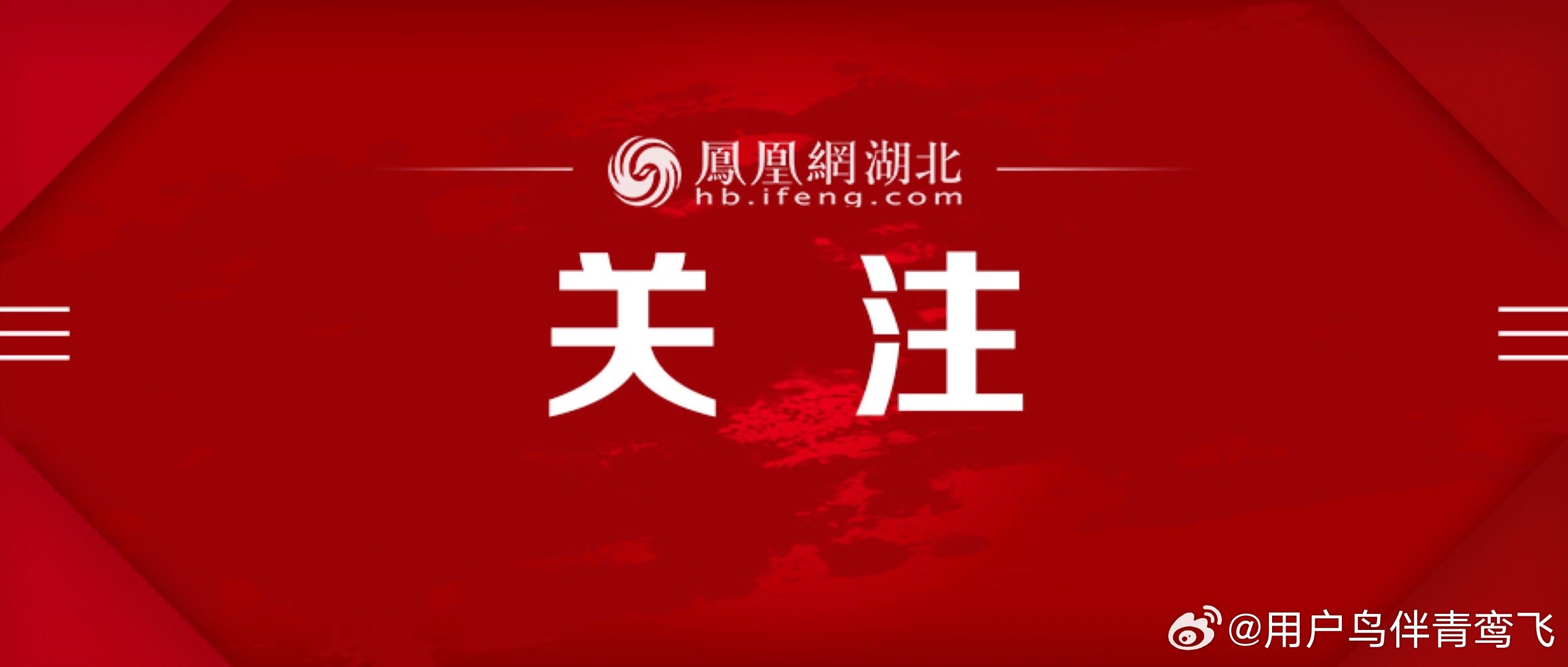 凤凰网新闻官网下载,获取最新新闻资讯的便捷途径,凤凰网新闻官网下载,最新新闻资讯的便捷获取之道