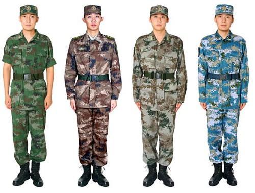 中国人民解放军陆军胸标，荣耀的象征与时代的印记，中国人民解放军陆军胸标，荣耀与时代的象征印记