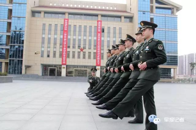 中国人民解放军陆军胸标,荣耀的象征与时代的印记,中国人民解放军陆军胸标,荣耀与时代的象征印记