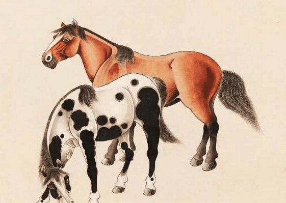 马一王中王特平一肖图，历史、文化与现代社会的交融，历史、文化与现代社会的交融，马一王中王特平一肖图的跨时代解读
