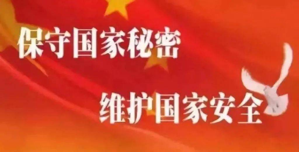国家不让人民知道的秘密，探究与反思，国家隐秘，探究与反思的议题