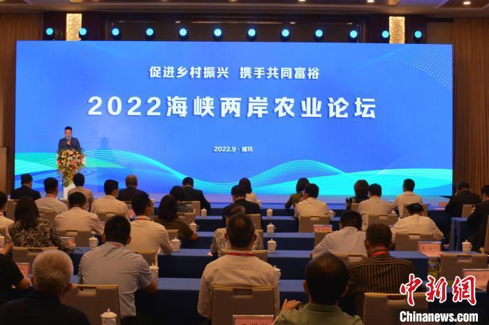 海峡两岸新闻热点聚焦，2022年3月回顾与展望，海峡两岸新闻热点聚焦，回顾与展望 2022年3月展望报告