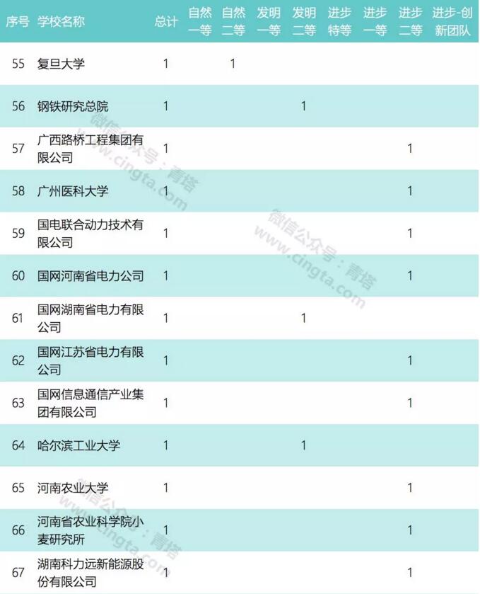 青塔网，连接未来与梦想的桥梁，青塔网，连接未来与梦想的桥梁平台