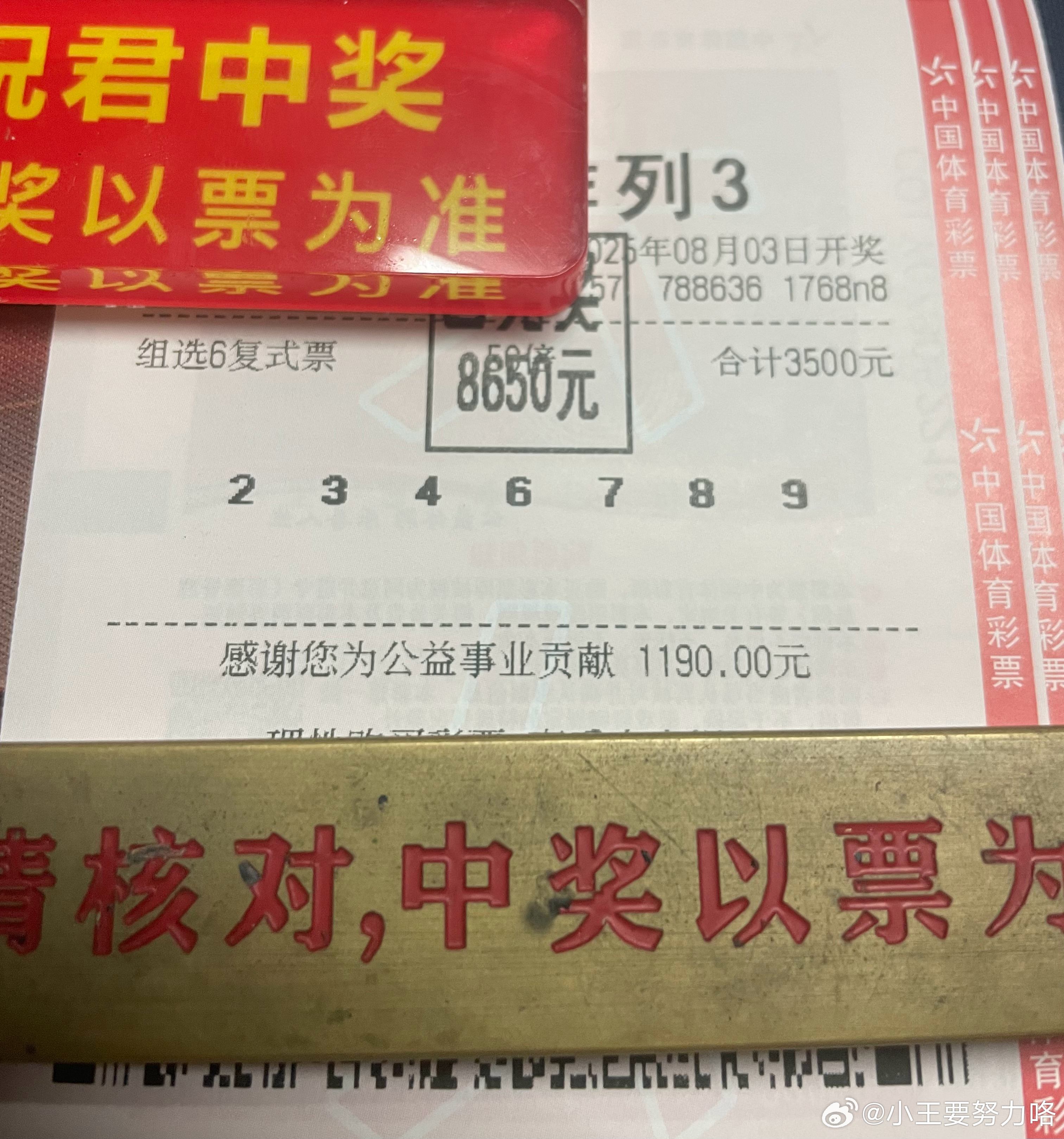 王中王504与肖中特的独特魅力，王中王504与肖中特，独特魅力的展现