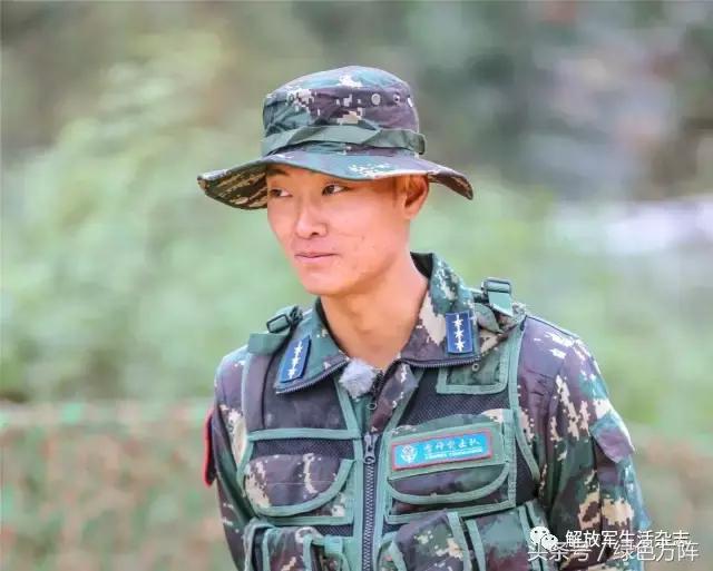 刘金沂是否已退伍,一位优秀军人的成长历程与未来展望,刘金沂的成长历程与未来展望,优秀军人的退役与前行之路