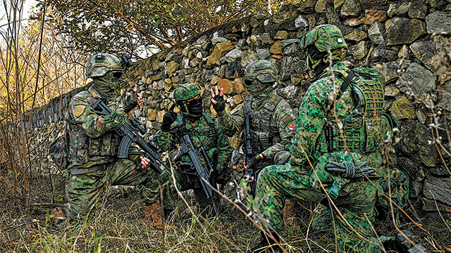 国防军事行动包括的关键要素与战略考量,国防军事行动的关键要素与战略考量解析