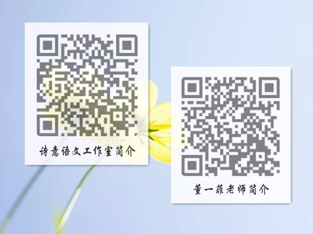 探索数字世界中的奥秘,关于一肖二码的探讨,数字世界的奥秘探索,一肖二码探讨揭秘