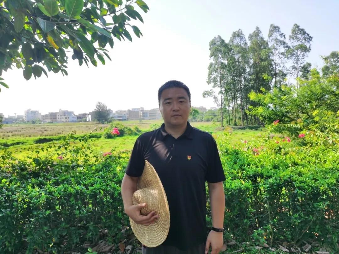 海南战役故事,英勇无畏的战斗历程,海南战役英勇战斗历程,无畏勇者的壮丽篇章