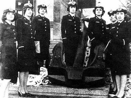 中国特种兵军衔,荣誉与责任的象征,中国特种兵军衔,荣誉与责任的标志