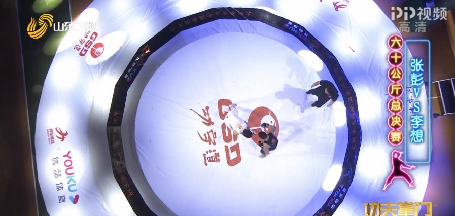 王中王678一肖三码，探寻背后的神秘与魅力，王中王678一肖三码，神秘魅力背后的探寻