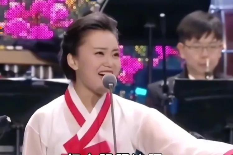 歼-10战斗机为什么不卖给朝鲜，国际政治与军事技术合作的复杂性分析，国际政治与军事技术合作下的歼-10战斗机对朝鲜的出口决策分析