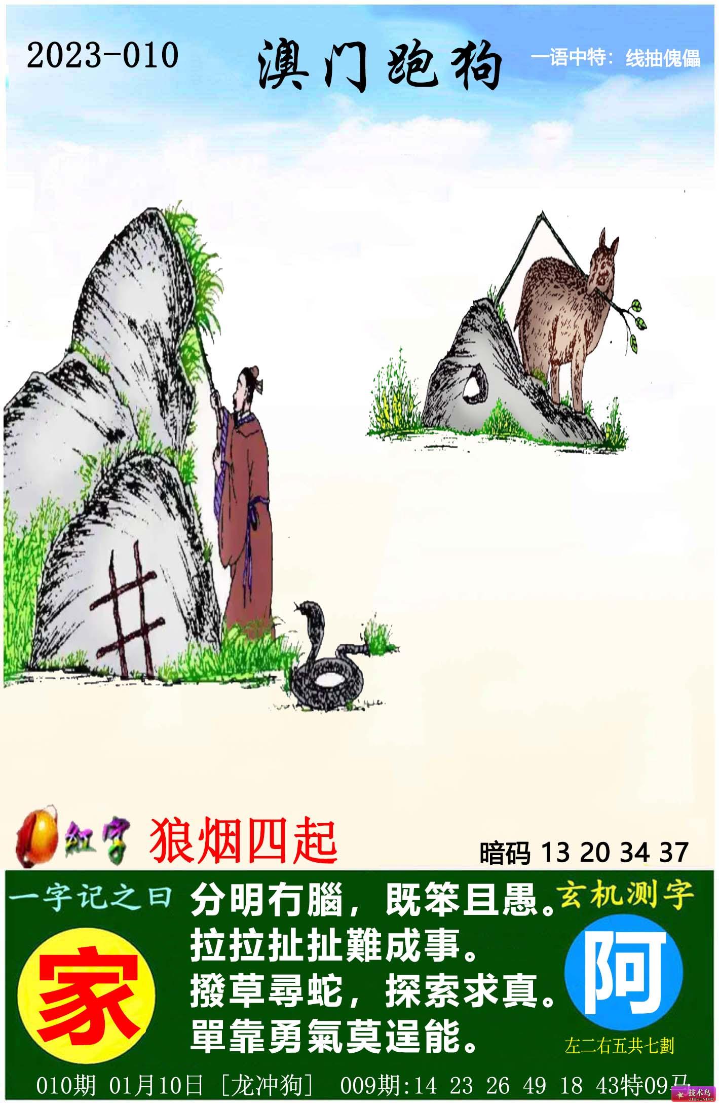 澳门跑狗图正版今晚——探索澳门赛跑的魅力与神秘,澳门赛跑的魅力与神秘,探索正版跑狗图今晚揭晓