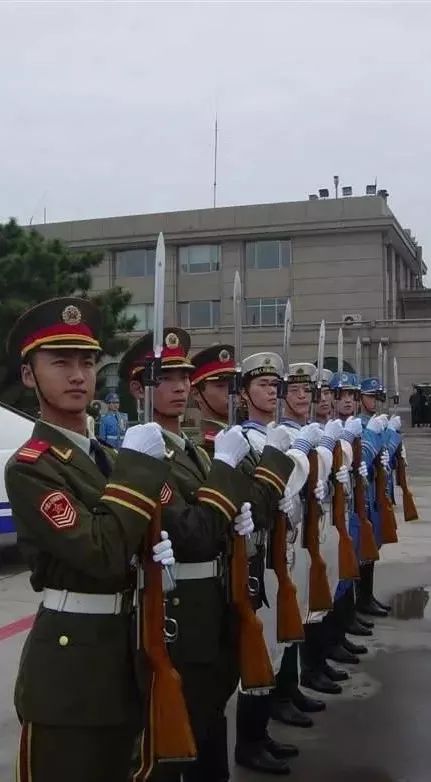 三军仪仗队郭凤通婚礼视频,荣耀与情感的交织,三军仪仗队郭凤通婚礼视频,荣耀与情感的完美融合