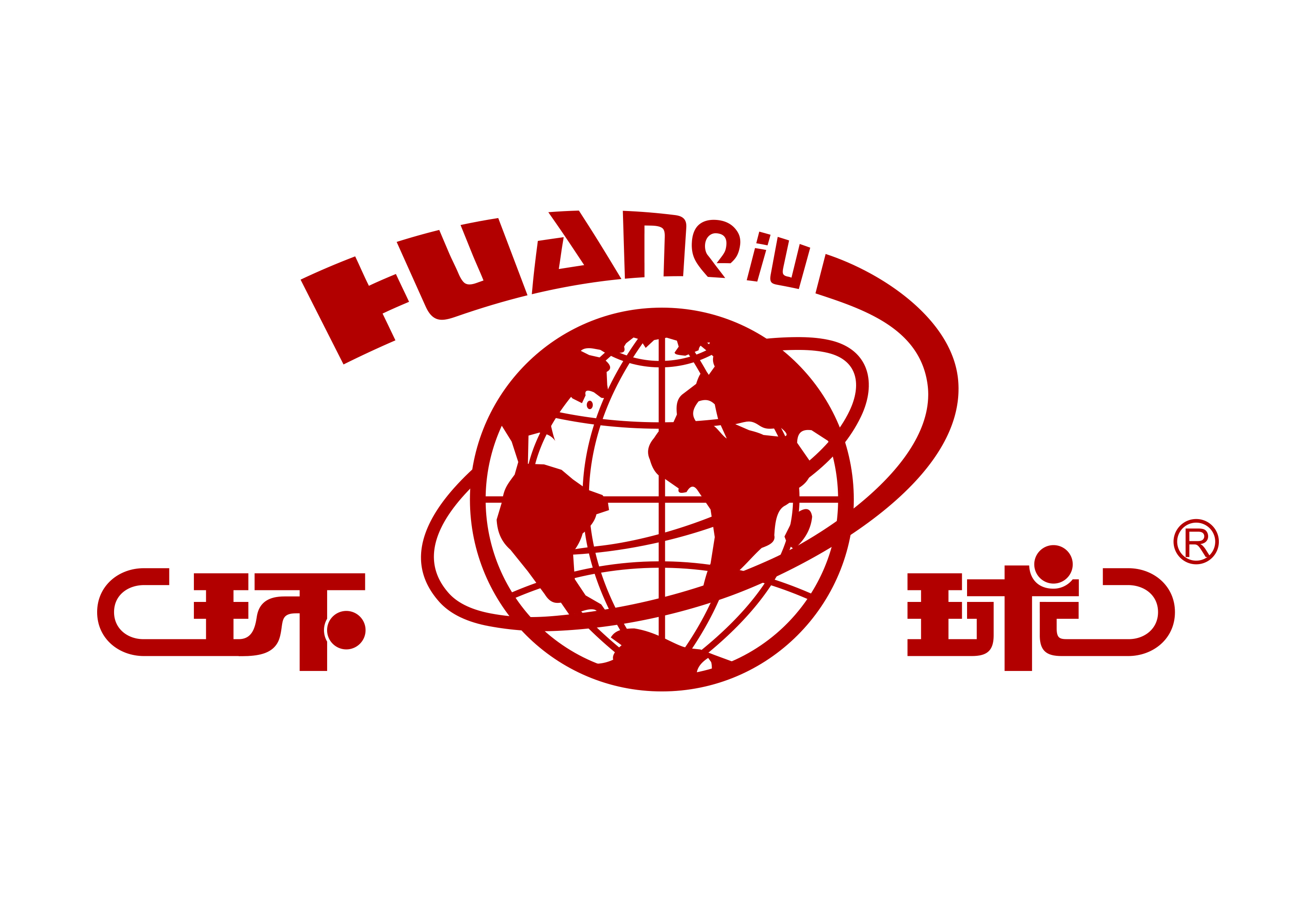 环球网,性质深度解析,环球网性质深度解析报告