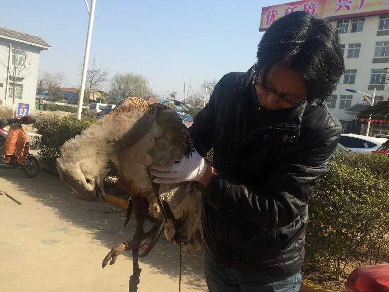 裤裆藏雷是什么意思?——探究网络流行语的背后含义,裤裆藏雷探意,网络流行语背后的真实含义解读