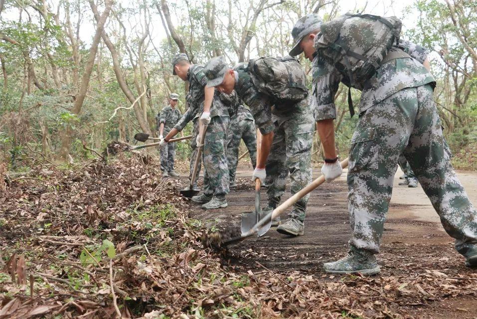 对部队的认识,部队深度解读,认知与理解
