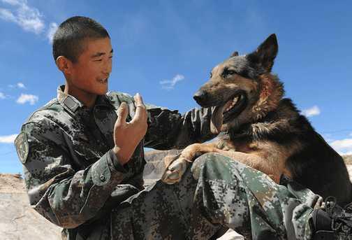大学生入伍与国防生的区别,大学生入伍与国防生的差异分析