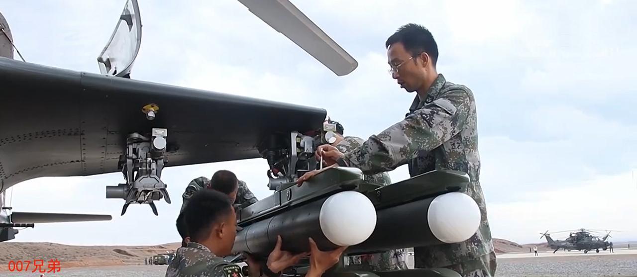 武直-19成员,精英团队的卓越表现,武直-19精英团队的卓越表现风采