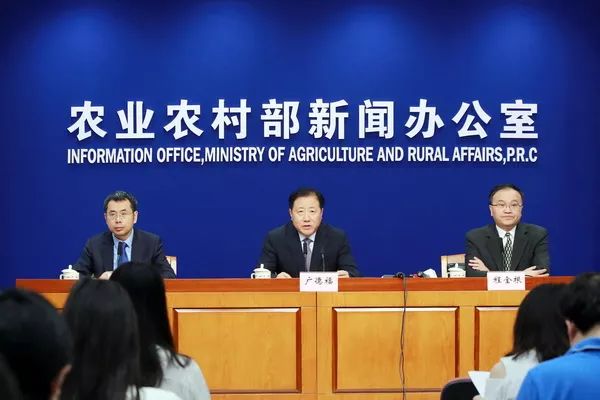 今日国际新闻稿子,全球动态速递,全球动态速递,今日国际新闻概览