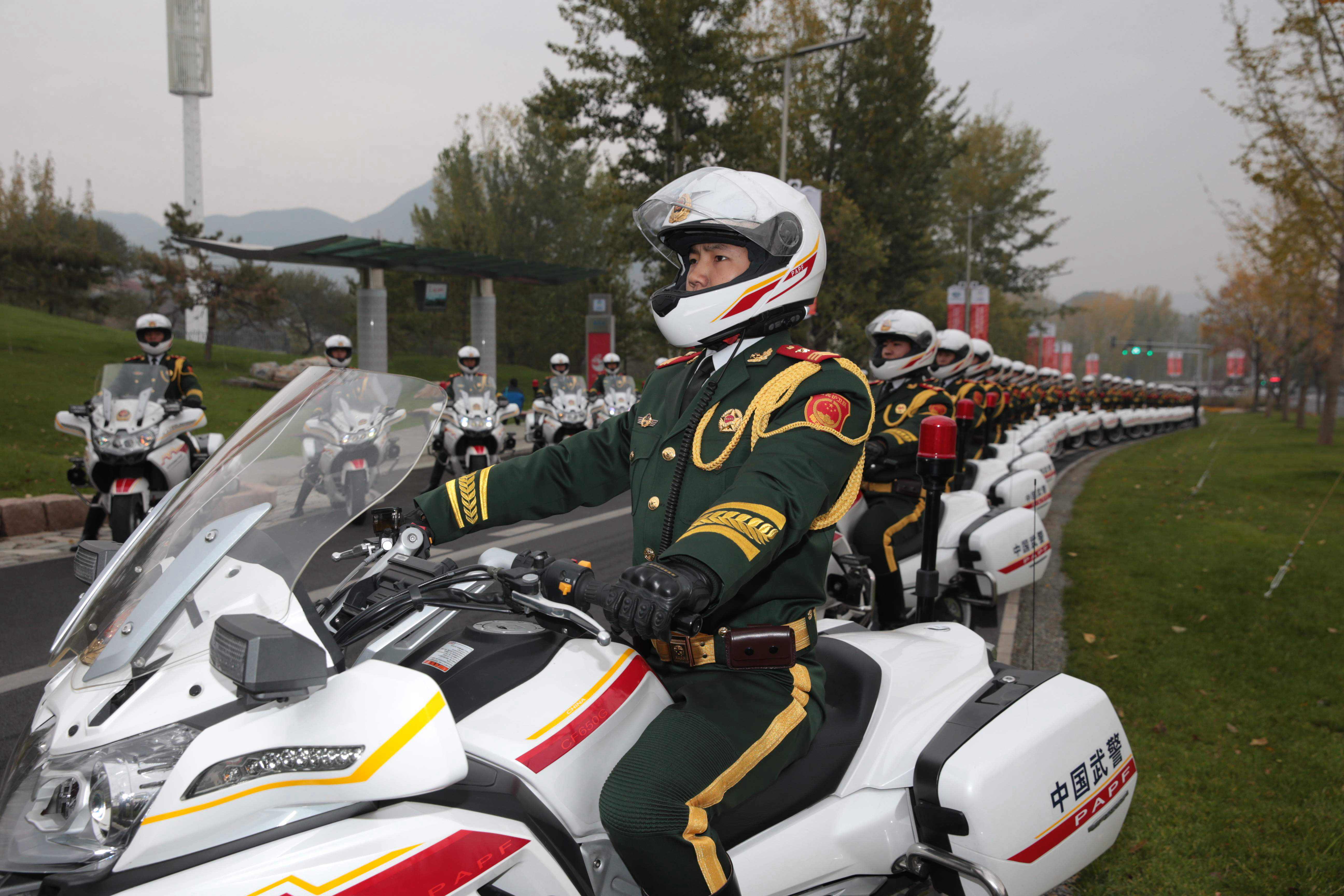 国宾护卫队真实照片,荣耀与责任的见证,国宾护卫队荣耀瞬间,责任与精神的见证图片集