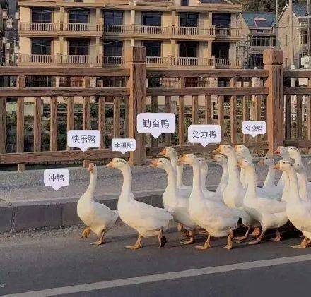 澳门一码一肖一待一中四不像,探索神秘与现实的交汇点,澳门神秘与现实交汇点的探索,一码一肖一待一中四不像