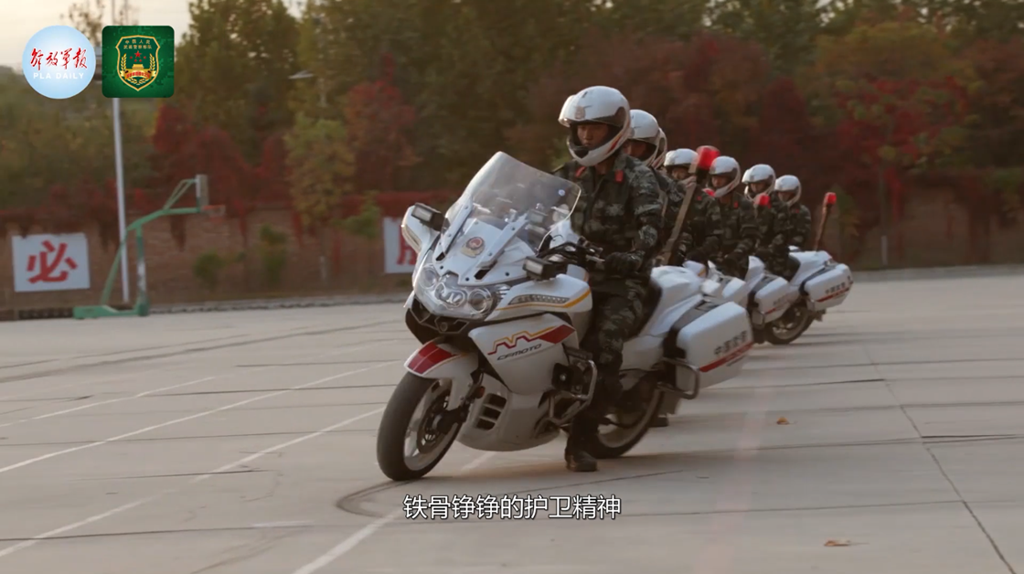 国宾护卫队优秀事迹,荣耀与担当的象征,国宾护卫队,荣耀与担当的典范事迹展