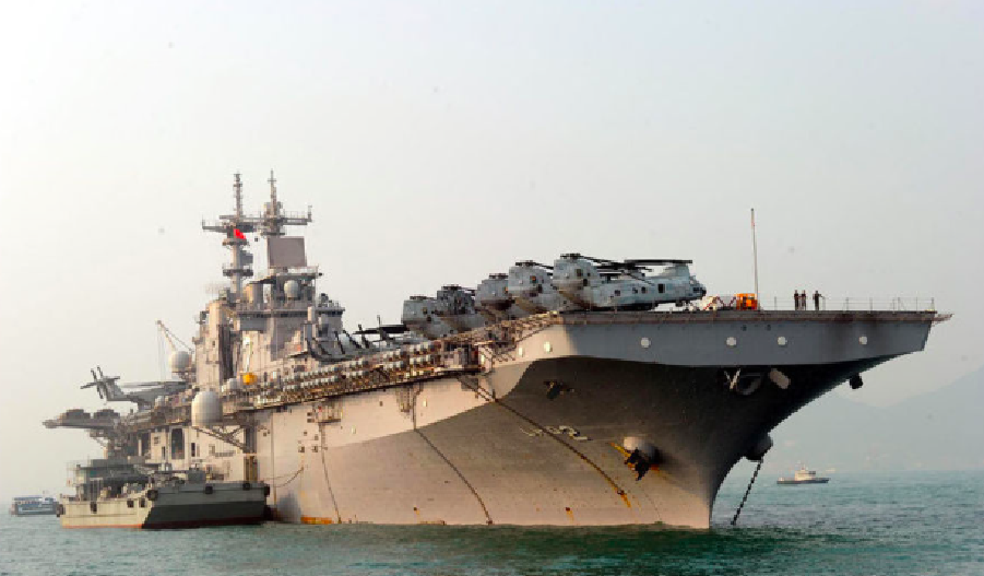 黄蜂级两栖攻击舰的舰群概览,黄蜂级两栖攻击舰舰群全景概览