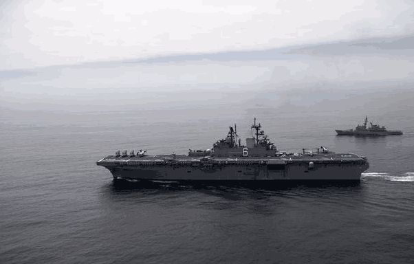 黄蜂级两栖攻击舰的舰群概览,黄蜂级两栖攻击舰舰群全景概览