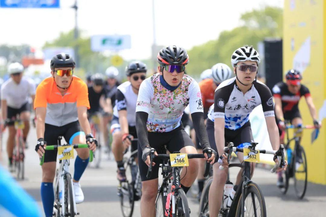 深度解析与未来展望