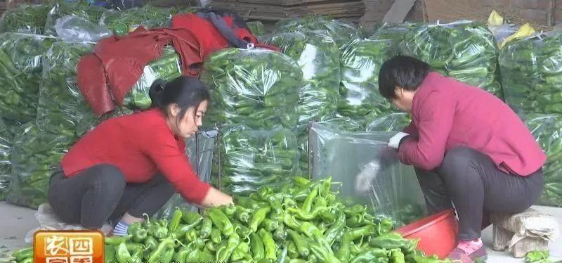 中国二炮部队负责人，职责、贡献与未来展望，中国二炮部队负责人，职责、贡献及未来展望分析