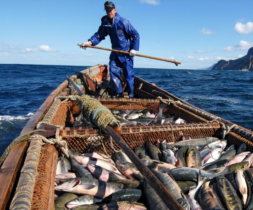 中国潜艇数量在2021年的现状与发展趋势分析,中国潜艇数量现状与发展趋势分析,2021年现状与未来展望