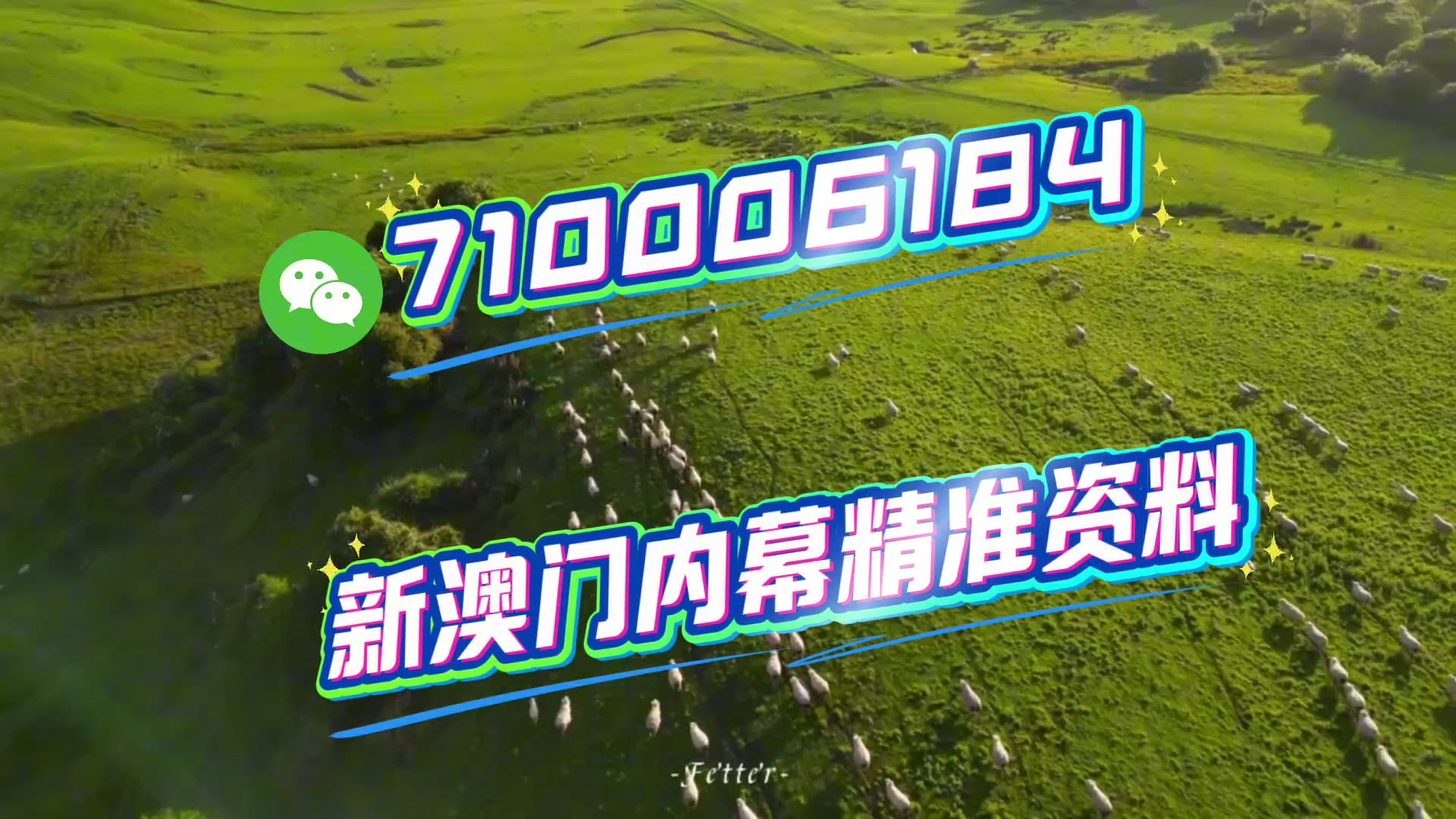 澳门特马今晚开奖亿彩网——探索彩票背后的故事与未来展望,澳门特马亿彩网,揭秘彩票背后的故事与未来趋势展望