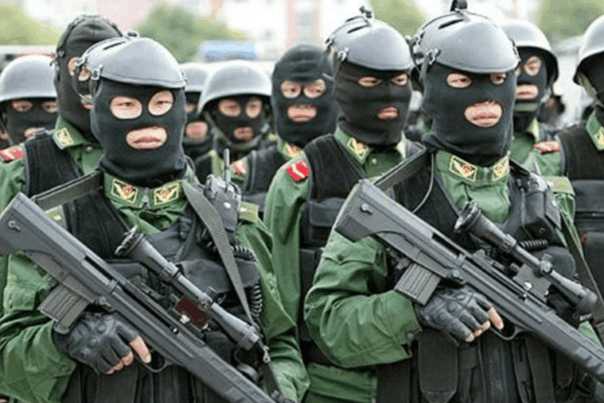 中国特种部队全副武装图片，揭示现代化军事力量的风采，中国特种部队全副武装展示现代化军事力量风采图片曝光