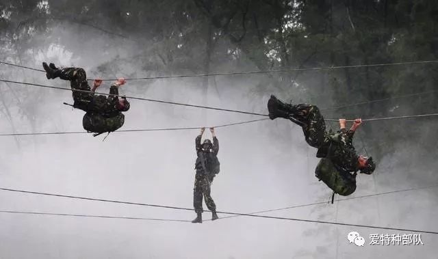 蛟龙突击队队训,磨砺意志,锻造精英,蛟龙突击队,磨砺意志,锻造精英队训之道