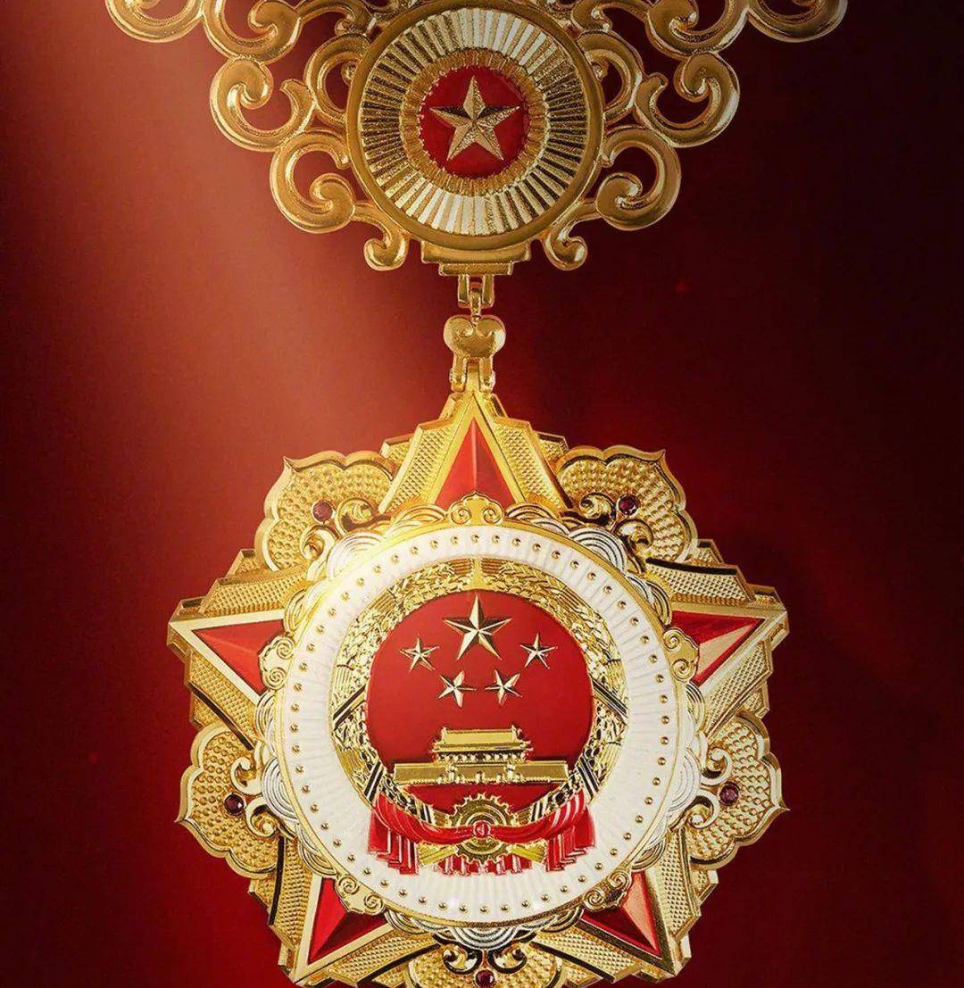 共和国勋章后代待遇的探究，共和国勋章后代待遇深度解析