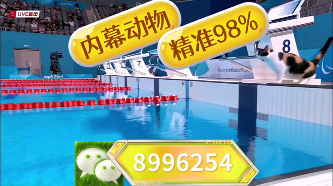 探索澳门特马的未来之路 —— 2023年澳门特马与未来的展望(含今晚特马预测),澳门特马的未来展望,探索发展之路与今晚特马预测