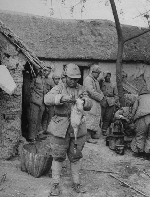 女兵哺乳战士的相片，勇气与母爱的交织，女兵哺乳战士的相片，勇气与母爱的辉煌交织