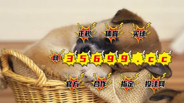 一肖中特兔费资料王中王