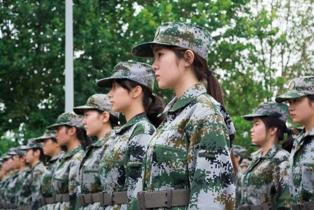 国防军事频道主持人王月，声音与力量的交汇，国防军事频道主持人王月，声音与力量的交汇之处