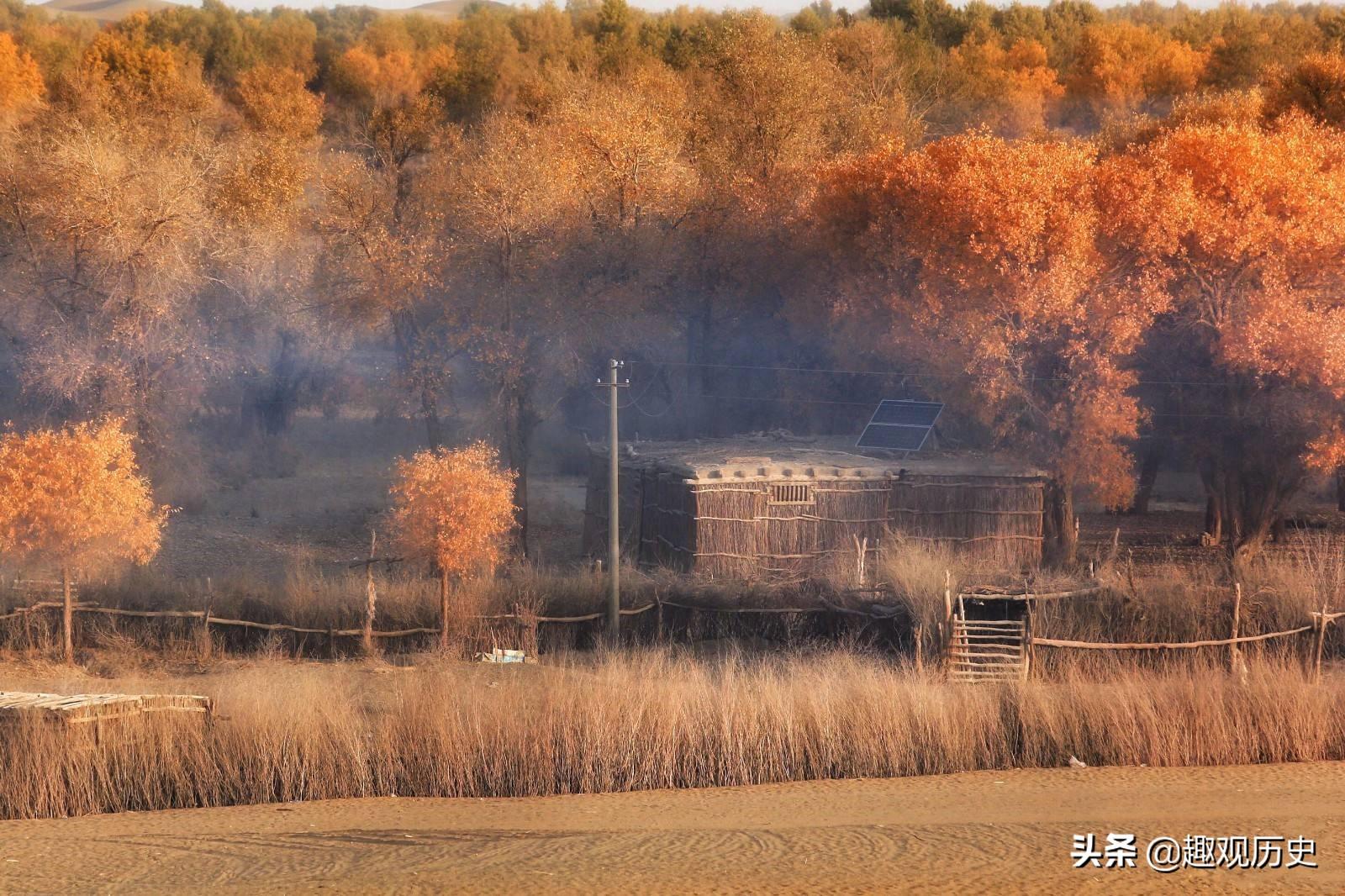 澳门最快开奖现场166，揭秘彩票背后的故事，澳门彩票背后的故事揭秘，开奖现场166揭晓时刻