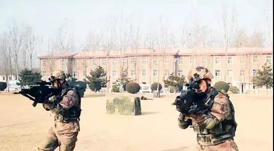 战略步枪的特点，战略步枪的特点解析