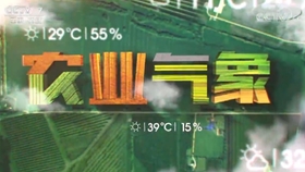 CCTV7军事农业频道节目表解析，CCTV7军事农业频道节目表深度解析