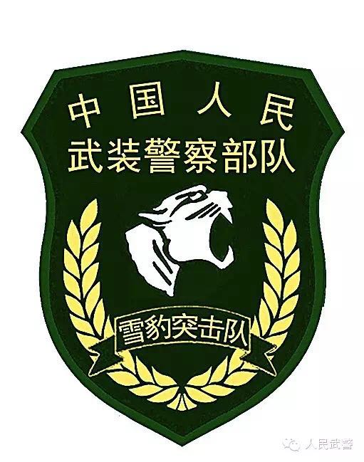 中国武警特战臂章，荣耀与责任的象征，中国武警特战臂章，荣耀与责任的独特标志