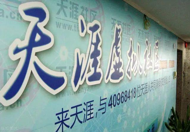 天涯论坛的兴衰与没落,探究一个时代论坛的变迁,天涯论坛的兴衰变迁,一个时代论坛的崛起与没落之路