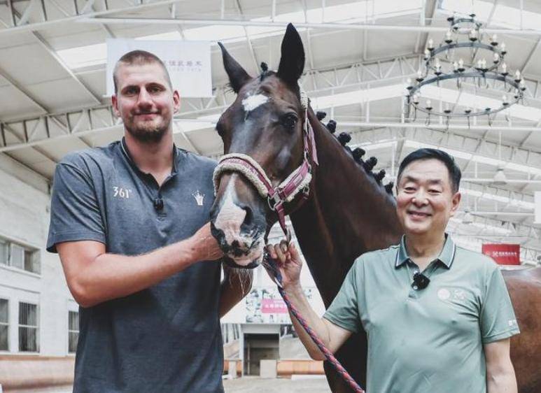 澳门精准三肖三码一澳门,探索与解析,澳门精准三肖三码一解析探索