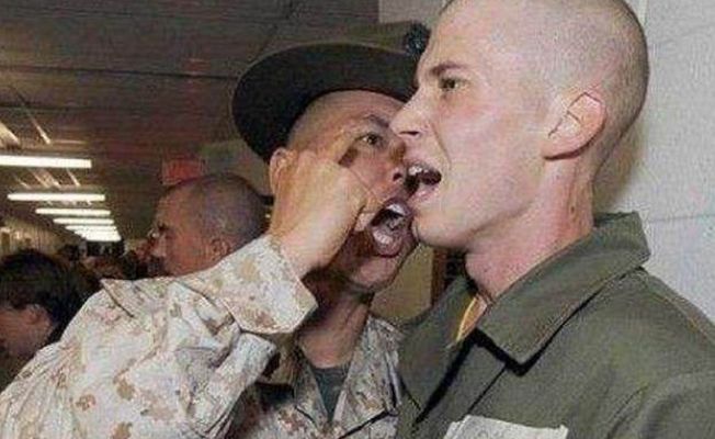 国外老兵打新兵,现象背后的深度解析,国外老兵打新兵现象背后的原因深度解析