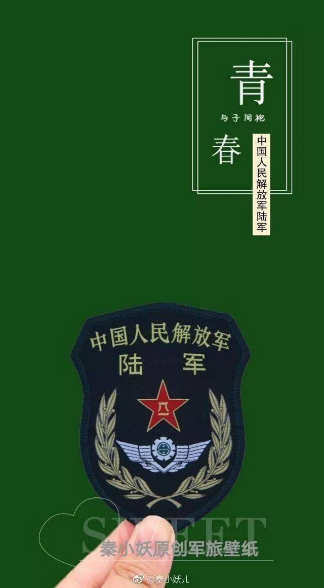 军旅主题图片大全集，荣耀与牺牲的象征，军旅主题图片集，荣耀与牺牲的永恒象征