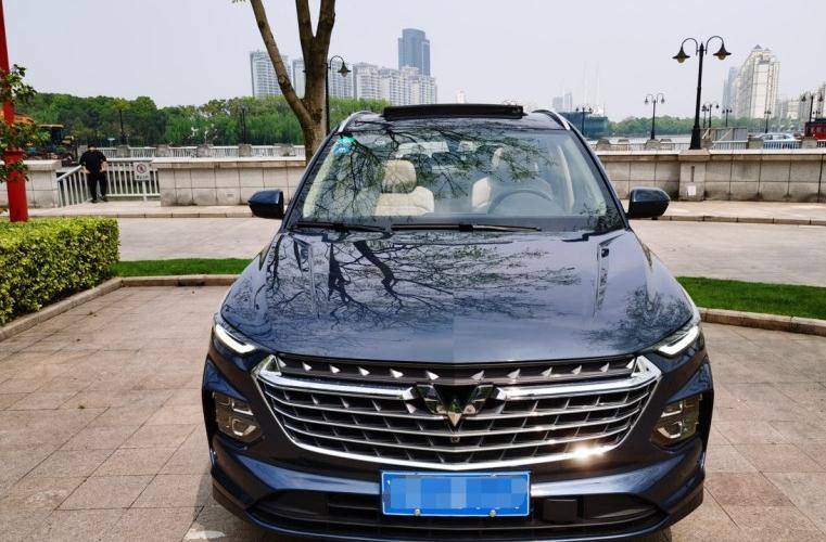 共和国勋章与子女的待遇,荣誉背后的责任与关怀,共和国勋章与子女待遇,荣誉背后的责任与温情关怀