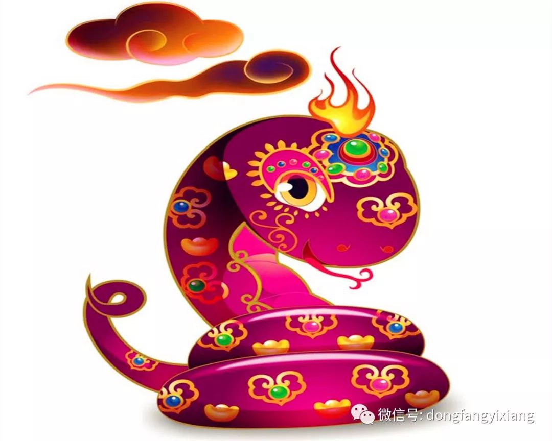 今天是什么生肖日——探寻生肖文化的魅力与意义，今日生肖日探秘，生肖文化的魅力与深层意义