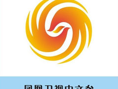 凤凰网新闻举报电话，构建透明沟通桥梁，维护新闻真实性与公正性，凤凰网新闻举报电话，构建沟通桥梁，保障新闻真实性与公正性